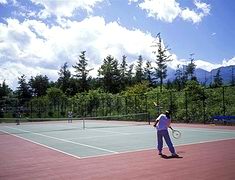 羽生田農園テニスコートのイメージ