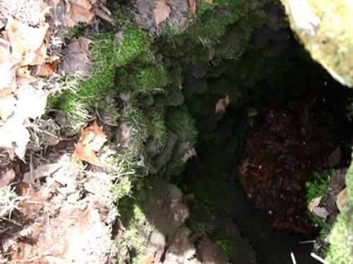 浅間山溶岩樹型のイメージ
